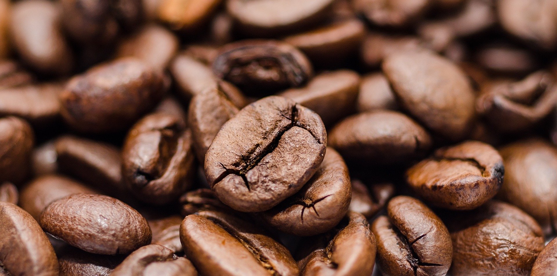 Mug Run coffee beans
