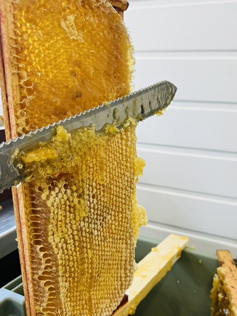 Cottage Orchard Honey honey comb.