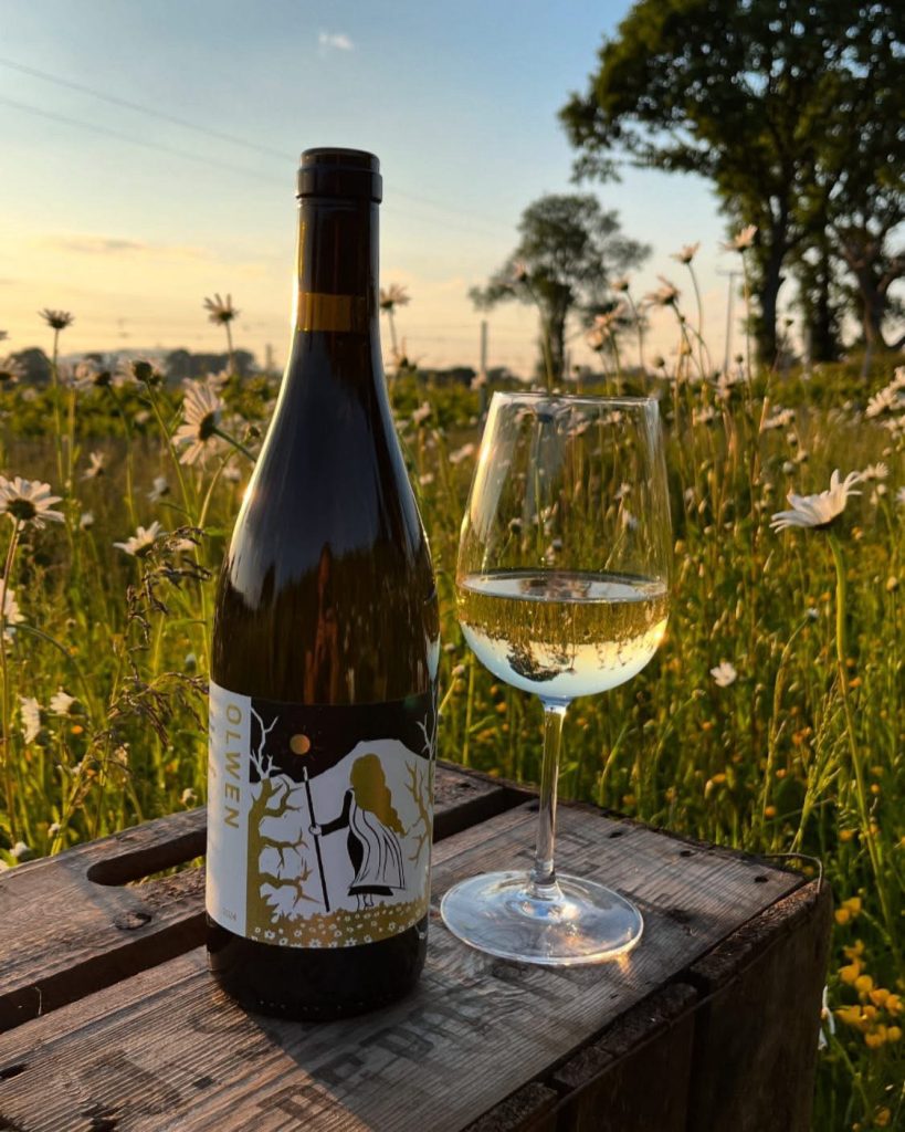 A bottle of Olwen Solaris wine from The Dell Vineyard sitting on a rustic wooden crate in a sunlit meadow of daisies at sunset.