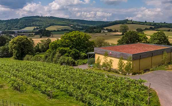 The Ancre Hill Estates own winery set in the beautiful Welsh vineyard.