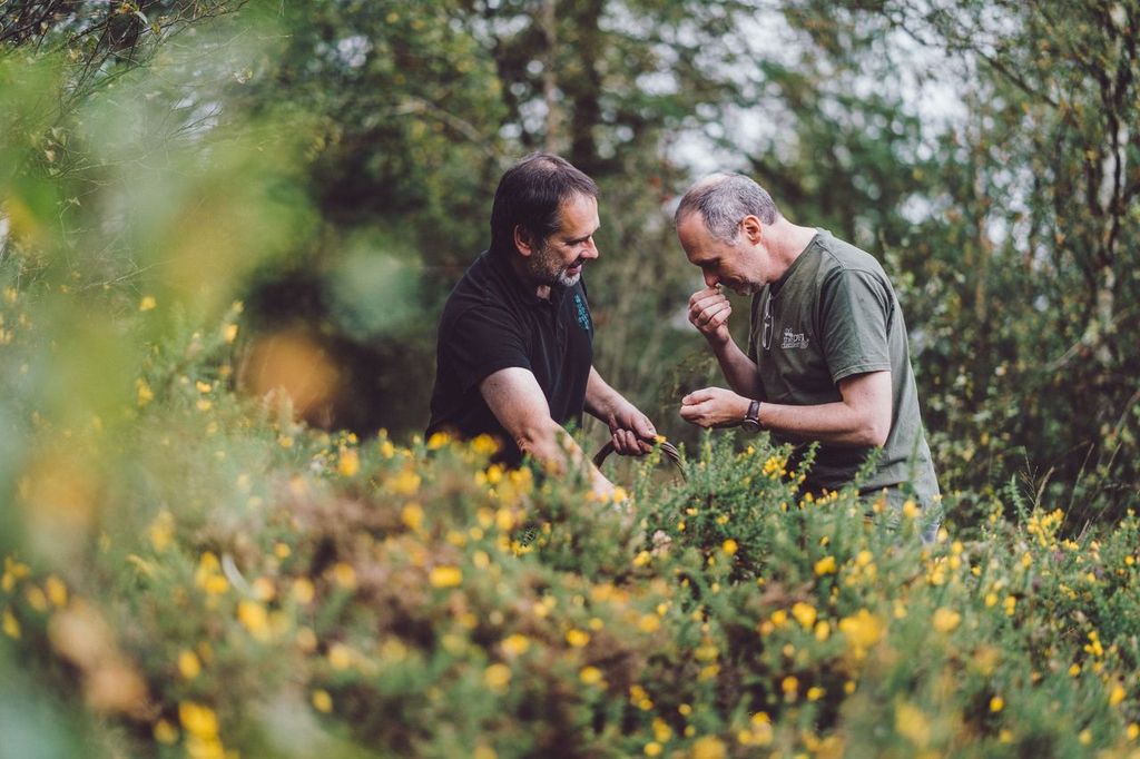 Pete and Danny out gathering botanicals for their spectacular gin range.